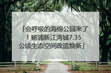 会呼吸的海绵公园来了！杨浦新江湾城7.35公顷生态空间改造焕新