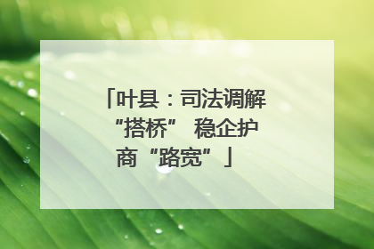 叶县：司法调解“搭桥” 稳企护商“路宽”