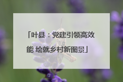 叶县：党建引领高效能 绘就乡村新图景