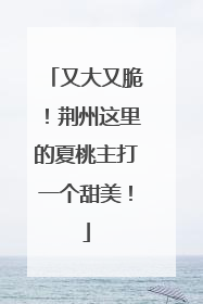 又大又脆！荆州这里的夏桃主打一个甜美！