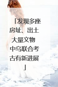 发现多座房址、出土大量文物 中乌联合考古有新进展