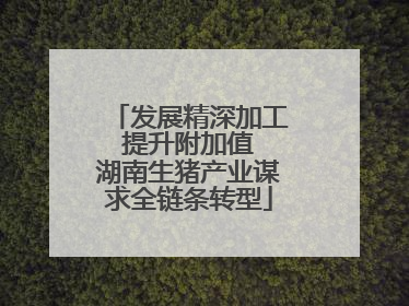 发展精深加工 提升附加值 湖南生猪产业谋求全链条转型
