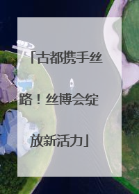 古都携手丝路！丝博会绽放新活力