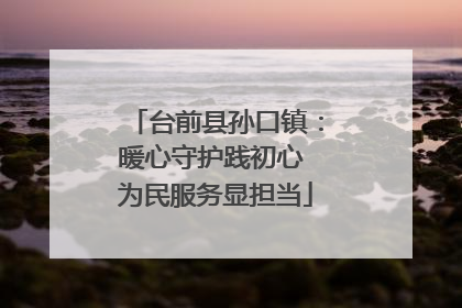 台前县孙口镇：暖心守护践初心 为民服务显担当