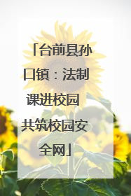 台前县孙口镇：法制课进校园 共筑校园安全网