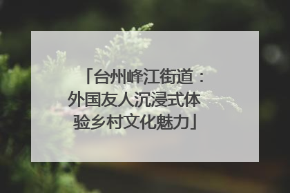 台州峰江街道：外国友人沉浸式体验乡村文化魅力