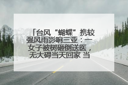 台风“蝴蝶”携较强风雨影响三亚：一女子被树砸倒送医，无大碍当天回家 当地已紧急清障