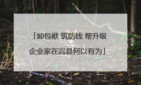 卸包袱 筑防线 帮升级 企业家在嵩县何以有为