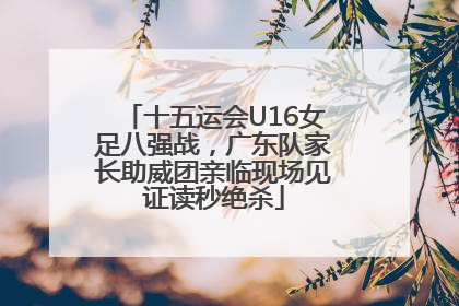 十五运会U16女足八强战，广东队家长助威团亲临现场见证读秒绝杀