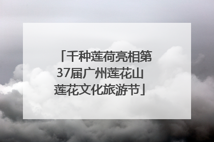 千种莲荷亮相第37届广州莲花山莲花文化旅游节