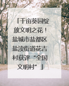 千亩葵园绽放文明之花！盐城市盐都区盐渎街道花吉村获评“全国文明村”