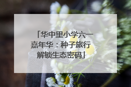 华中里小学六一嘉年华：种子旅行解锁生态密码