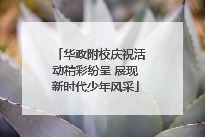 华政附校庆祝活动精彩纷呈 展现新时代少年风采