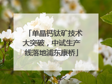 单晶钙钛矿技术大突破，中试生产线落地浦东康桥