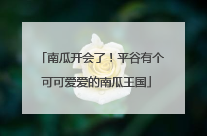 南瓜开会了！平谷有个可可爱爱的南瓜王国