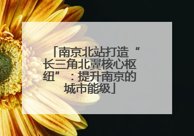 南京北站打造“长三角北翼核心枢纽”：提升南京的城市能级