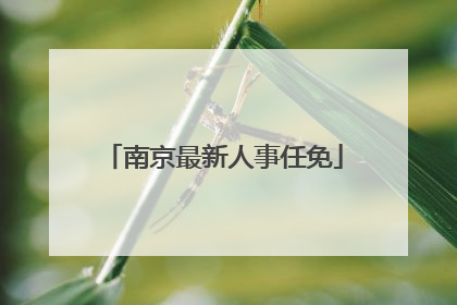 南京最新人事任免