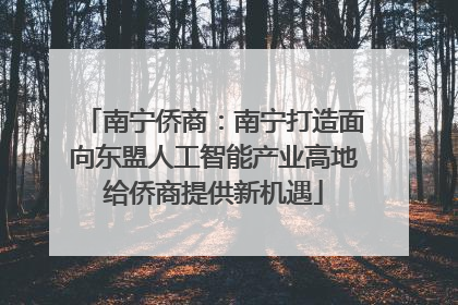 南宁侨商：南宁打造面向东盟人工智能产业高地给侨商提供新机遇