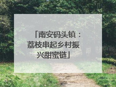 南安码头镇：荔枝串起乡村振兴甜蜜链