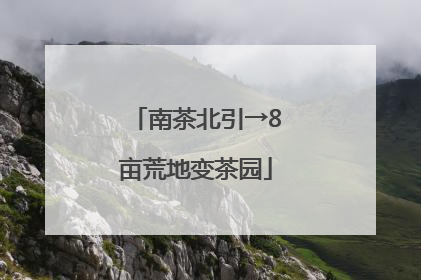 南茶北引→8亩荒地变茶园