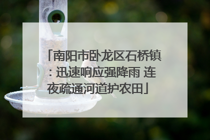 南阳市卧龙区石桥镇：迅速响应强降雨 连夜疏通河道护农田