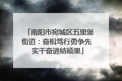 南阳市宛城区五里堡街道：奋楫笃行勇争先 实干奋进结硕果