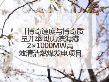 博奇速度与博奇质量并举 助力滨海港2×1000MW高效清洁燃煤发电项目“双投”