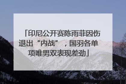印尼公开赛陈雨菲因伤退出“内战”，国羽各单项唯男双表现差劲