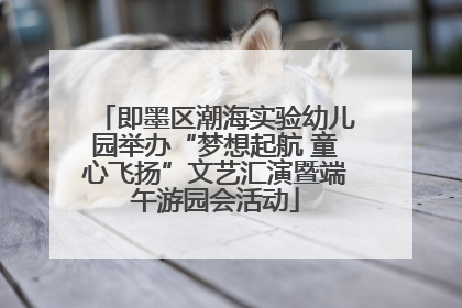 即墨区潮海实验幼儿园举办“梦想起航 童心飞扬”文艺汇演暨端午游园会活动