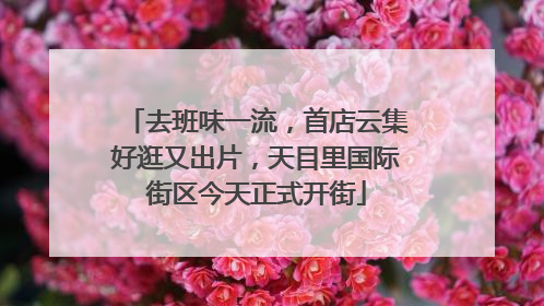 去班味一流，首店云集好逛又出片，天目里国际街区今天正式开街