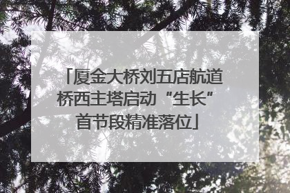 厦金大桥刘五店航道桥西主塔启动“生长” 首节段精准落位