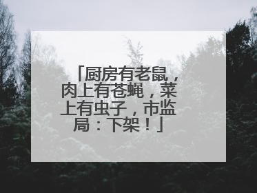 厨房有老鼠，肉上有苍蝇，菜上有虫子，市监局：下架！