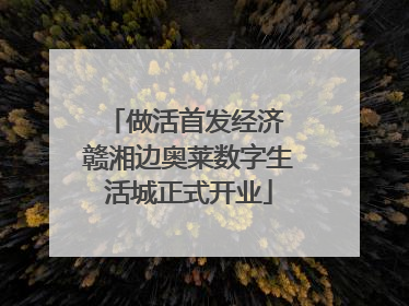 做活首发经济 赣湘边奥莱数字生活城正式开业
