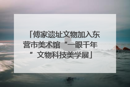傅家遗址文物加入东营市美术馆“一眼千年”文物科技美学展