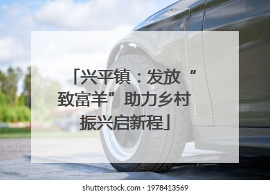 兴平镇：发放“致富羊”助力乡村振兴启新程