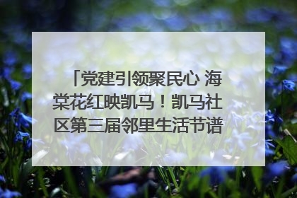 党建引领聚民心 海棠花红映凯马！凯马社区第三届邻里生活节谱写幸福新篇章