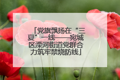 党旗飘扬在“三夏”一线——宛城区溧河街道党群合力筑牢禁烧防线