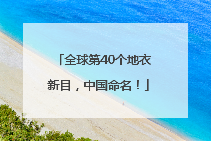 全球第40个地衣新目，中国命名！