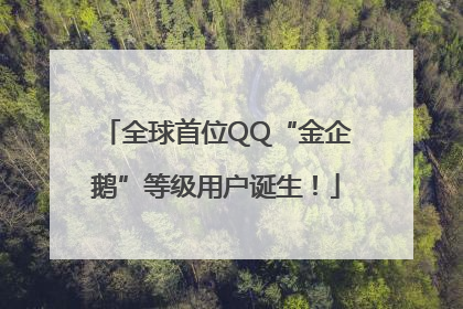 全球首位QQ“金企鹅”等级用户诞生！