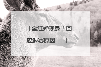 全红婵现身！回应退赛原因……