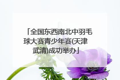 全国东西南北中羽毛球大赛青少年赛(天津武清)成功举办