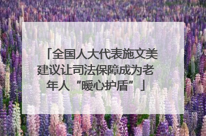 全国人大代表施文美建议让司法保障成为老年人“暖心护盾”