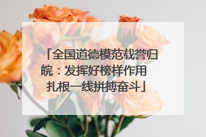 全国道德模范载誉归皖：发挥好榜样作用 扎根一线拼搏奋斗