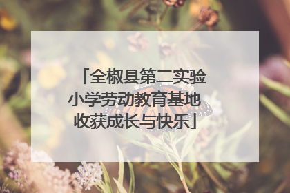 全椒县第二实验小学劳动教育基地收获成长与快乐
