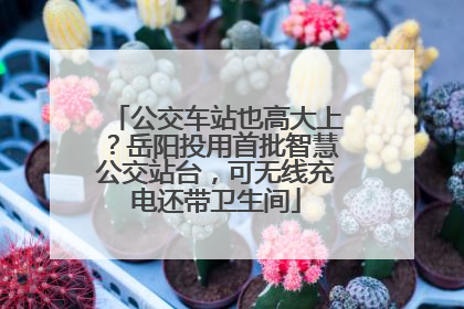 公交车站也高大上？岳阳投用首批智慧公交站台，可无线充电还带卫生间