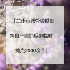 兰州市城管委拟设置自产自销瓜果临时摊点2000余个