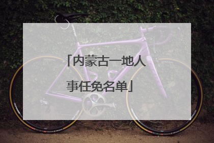 内蒙古一地人事任免名单