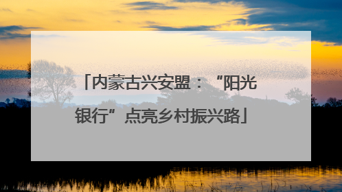 内蒙古兴安盟：“阳光银行”点亮乡村振兴路