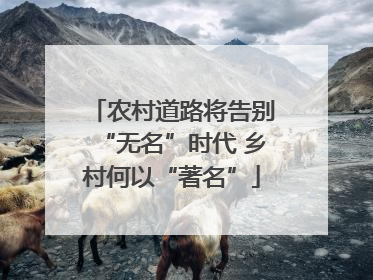 农村道路将告别“无名”时代 乡村何以“著名”