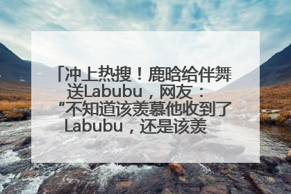 冲上热搜！鹿晗给伴舞送Labubu，网友：“不知道该羡慕他收到了Labubu，还是该羡慕鹿晗送他礼物”